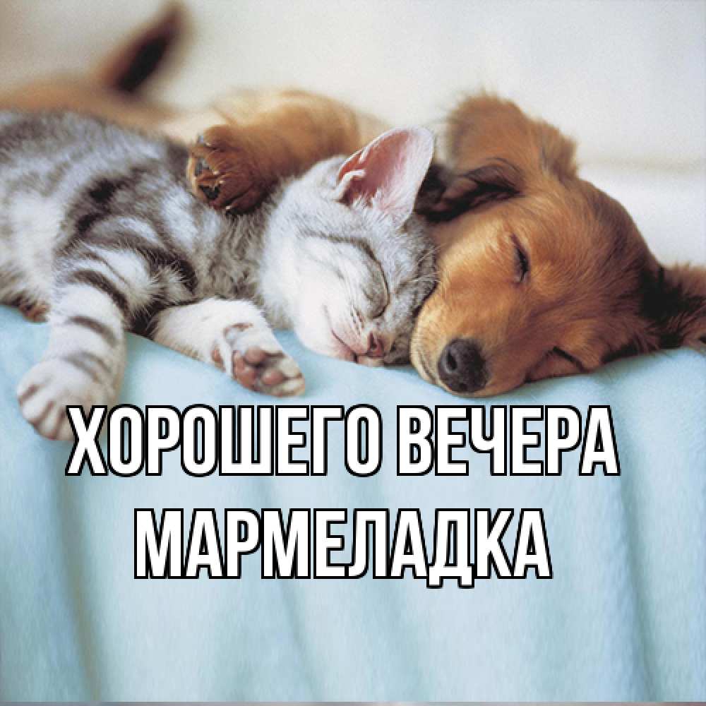 Открытка  для любимых и родных. мармеладка, Хорошего вечера  