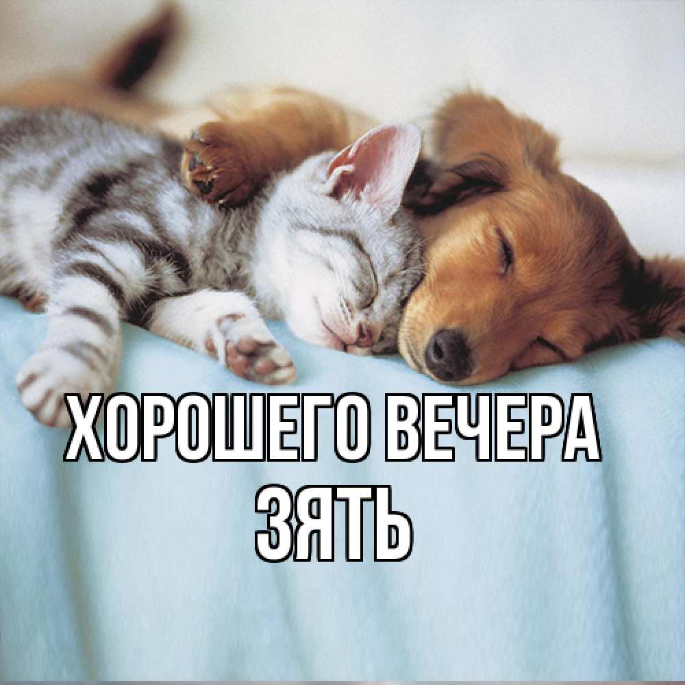 Открытка с именем, Зять, Хорошего вечера