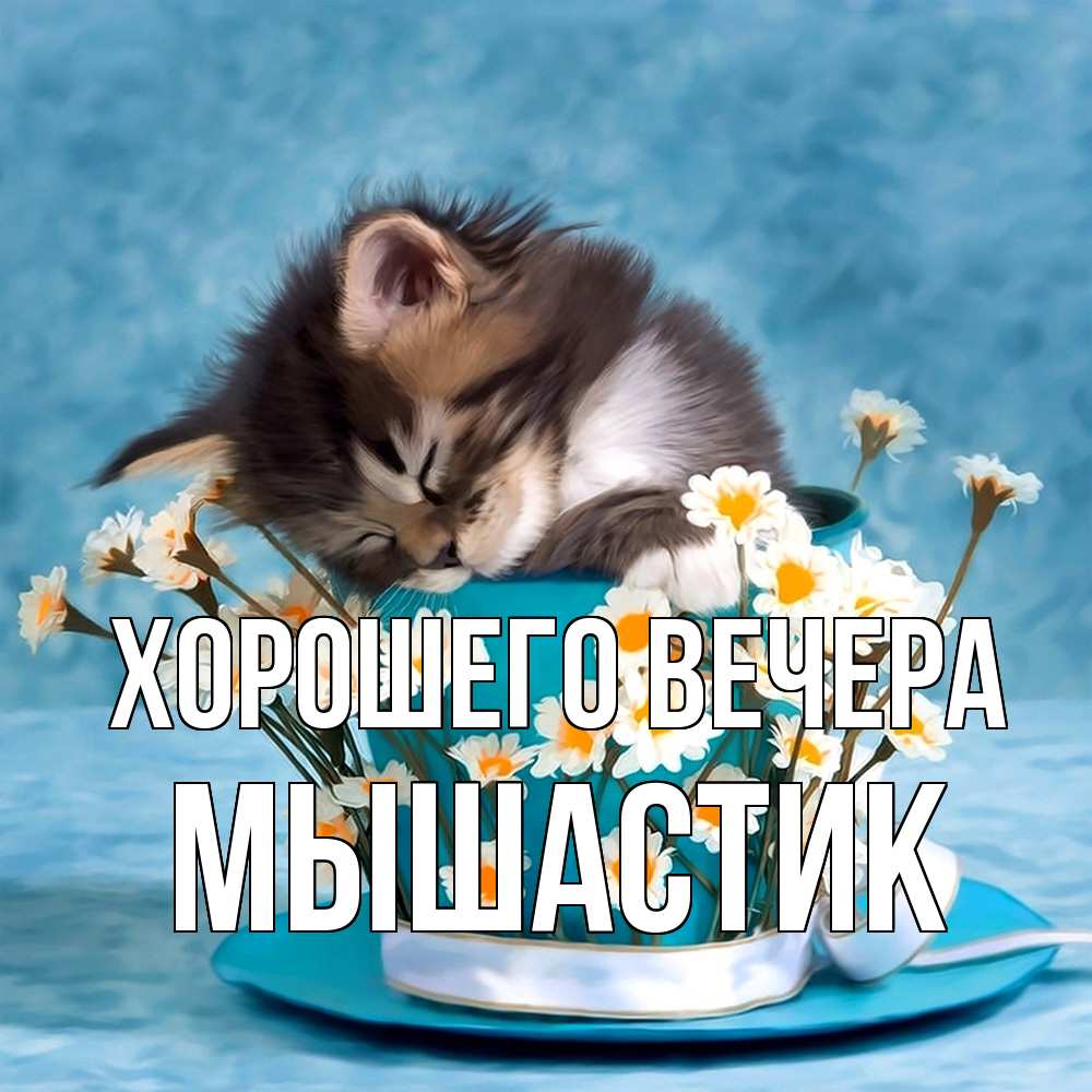 Картинка Хорошего вечера, мышастик