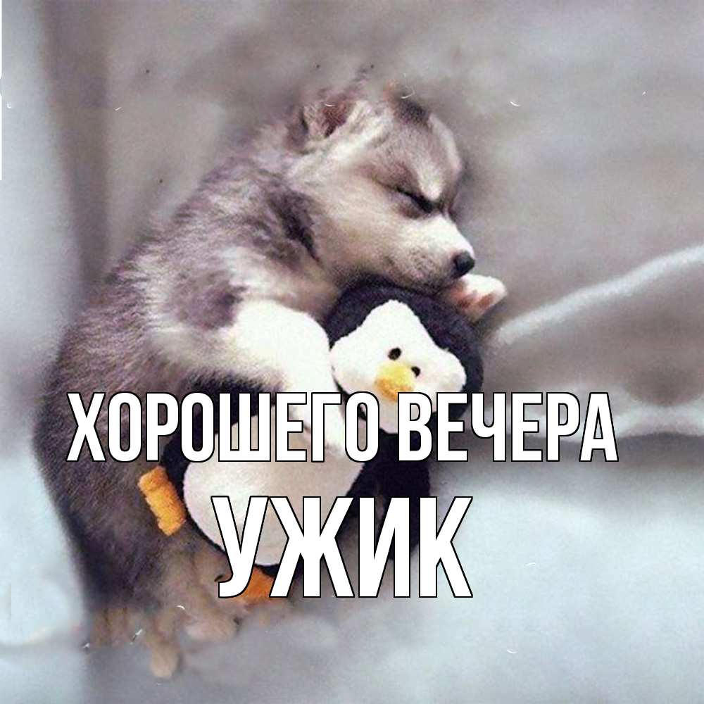 Открытка с именем, ужик, Хорошего вечера
