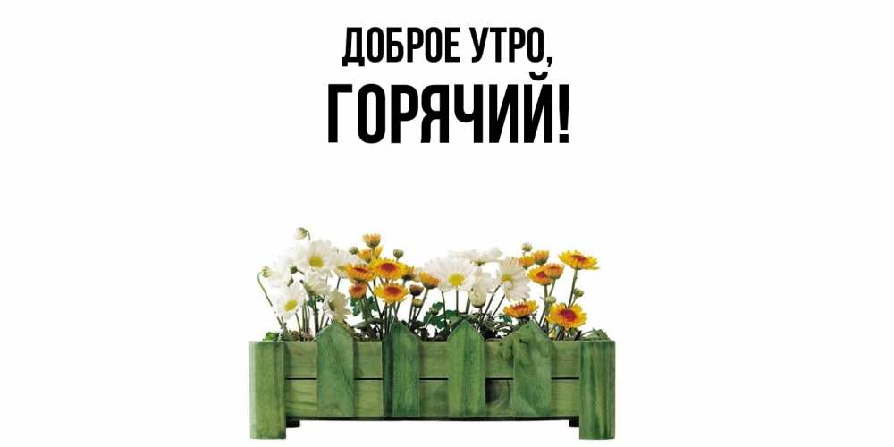 Открытка  для любимых и родных. горячий, Доброе утро  