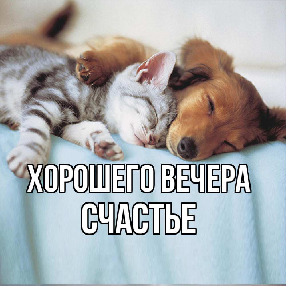 Открытка  для любимых и родных. Счастье, Хорошего вечера  