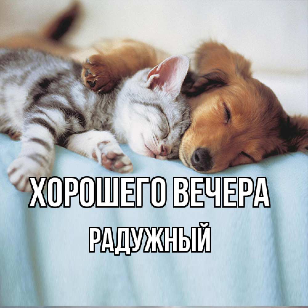 Открытка  для любимых и родных. радужный, Хорошего вечера  