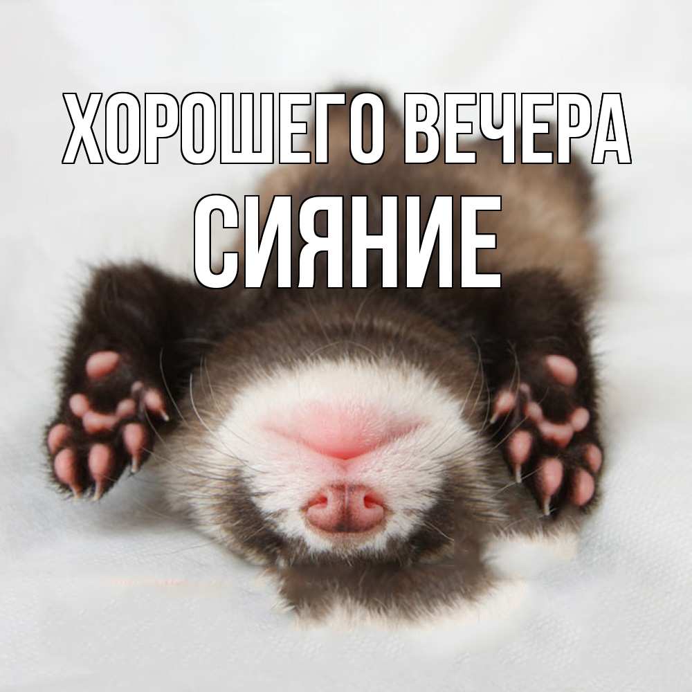 Открытка  для любимых и родных. сияние, Хорошего вечера  