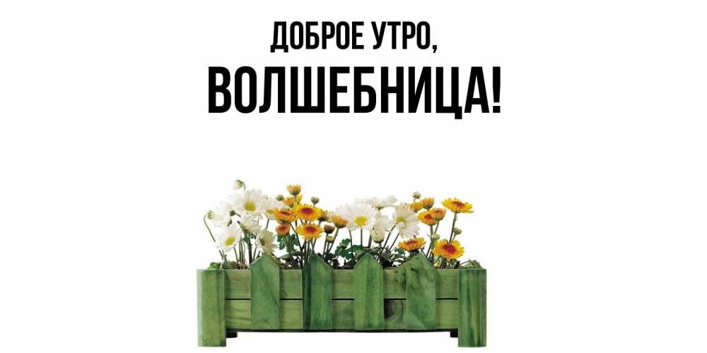 Открытка  для любимых и родных. волшебница, Доброе утро  