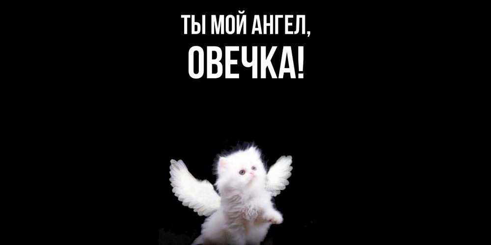 Открытка  для любимых и родных. овечка, Ты мой ангел  