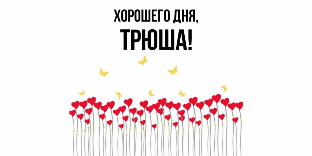 Открытка  для любимых и родных. трюша, Хорошего дня  
