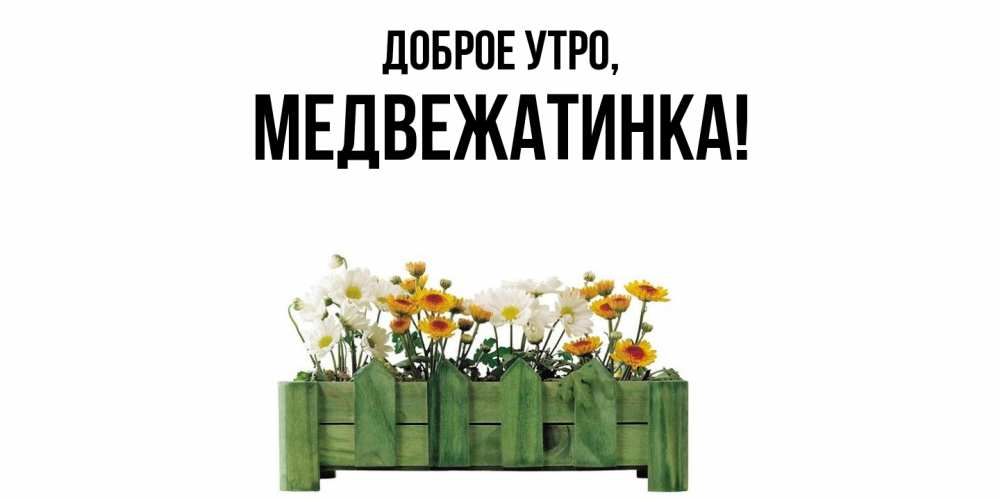 Картинка Доброе утро, медвежатинка
