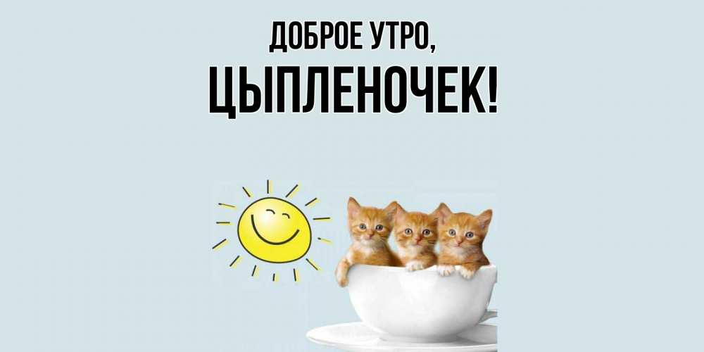 Открытка  для любимых и родных. цыпленочек, Доброе утро  