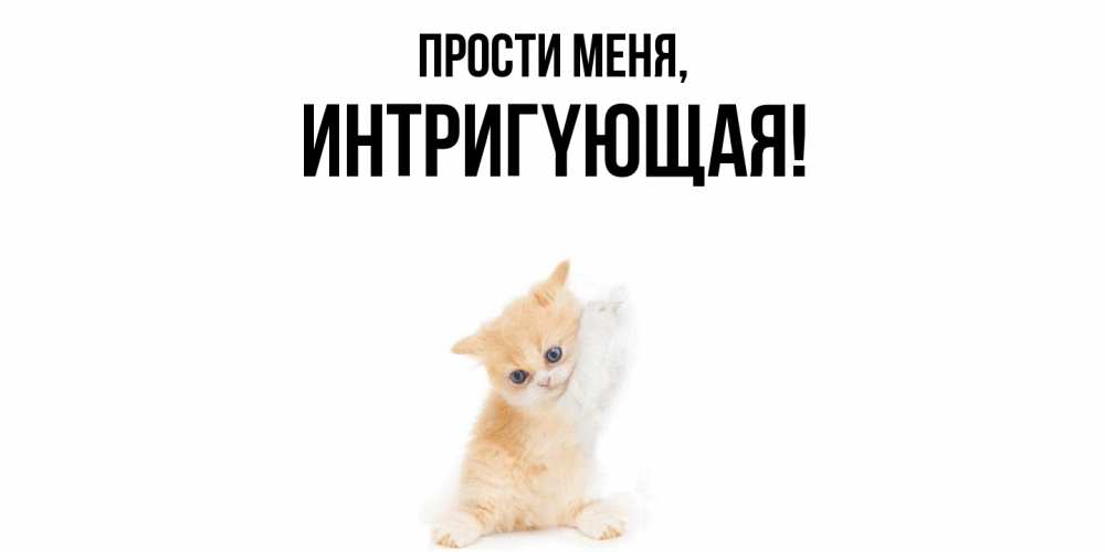 Открытка  для любимых и родных. интpигyющая, Прости меня  