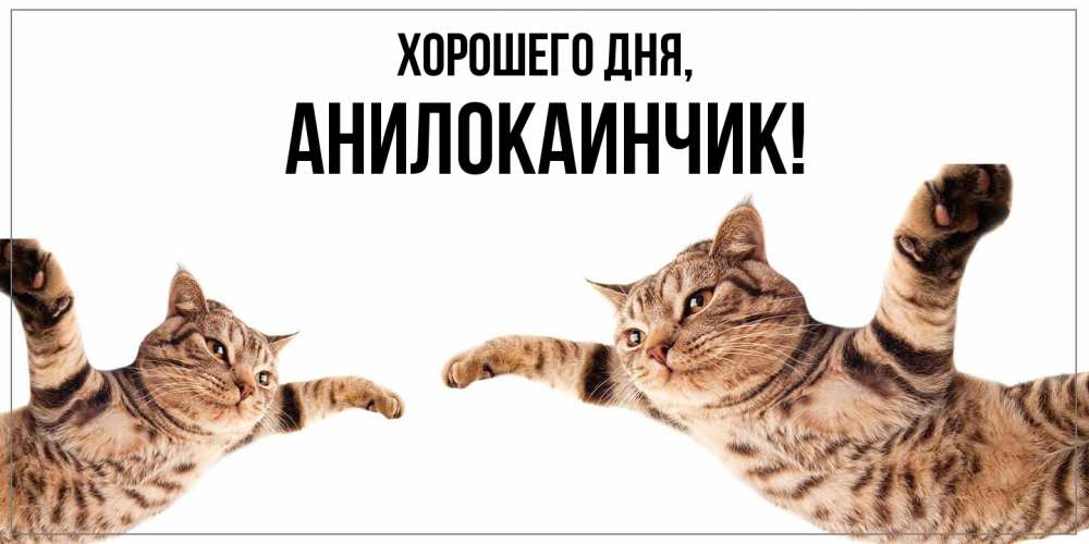 Открытка  для любимых и родных. анилокаинчик, Хорошего дня  
