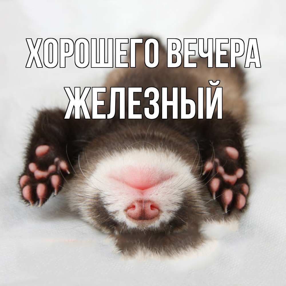 Открытка  для любимых и родных. железный, Хорошего вечера  
