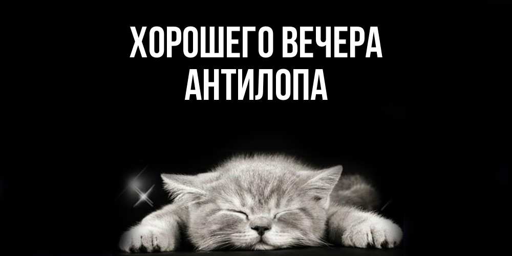 Открытка  для любимых и родных. антилопа, Хорошего вечера  