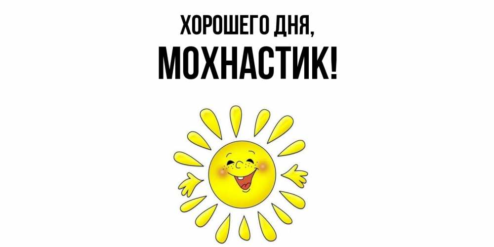 Открытка  для любимых и родных. мохнастик, Хорошего дня  