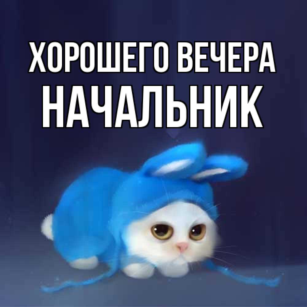 Открытка с именем, Начальник, Хорошего вечера