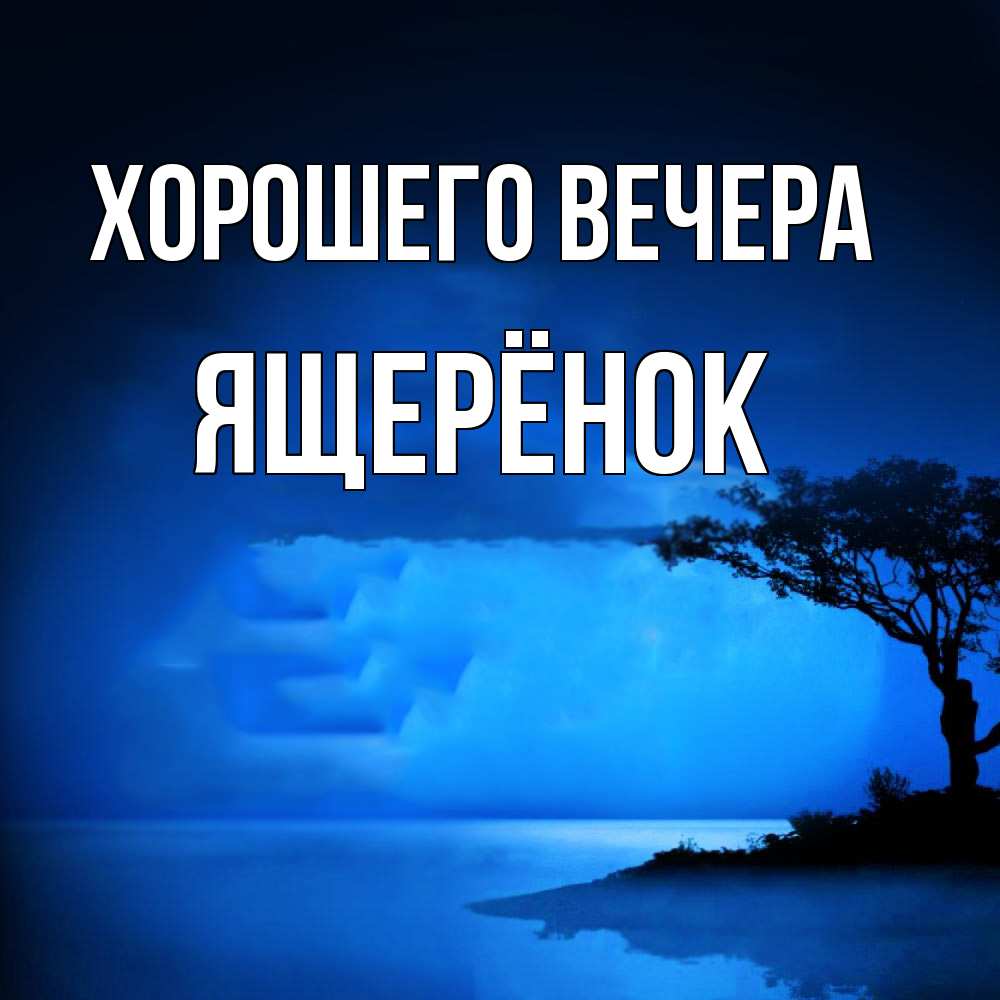 Открытка  для любимых и родных. ящерёнок, Хорошего вечера  