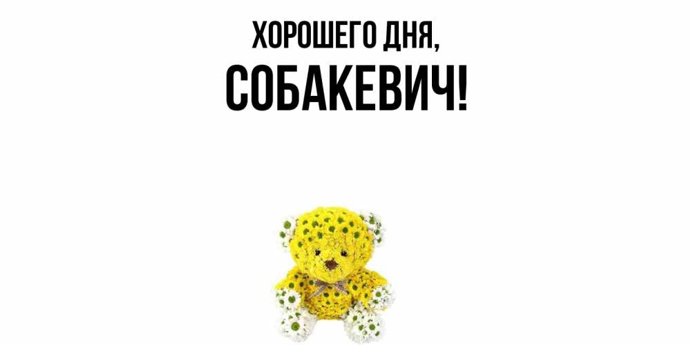 Открытка  для любимых и родных. собакевич, Хорошего дня  