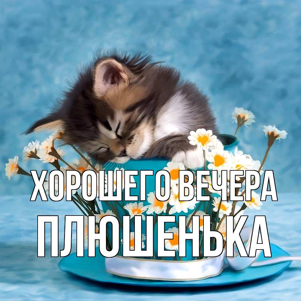 Картинка Хорошего вечера, плюшенька