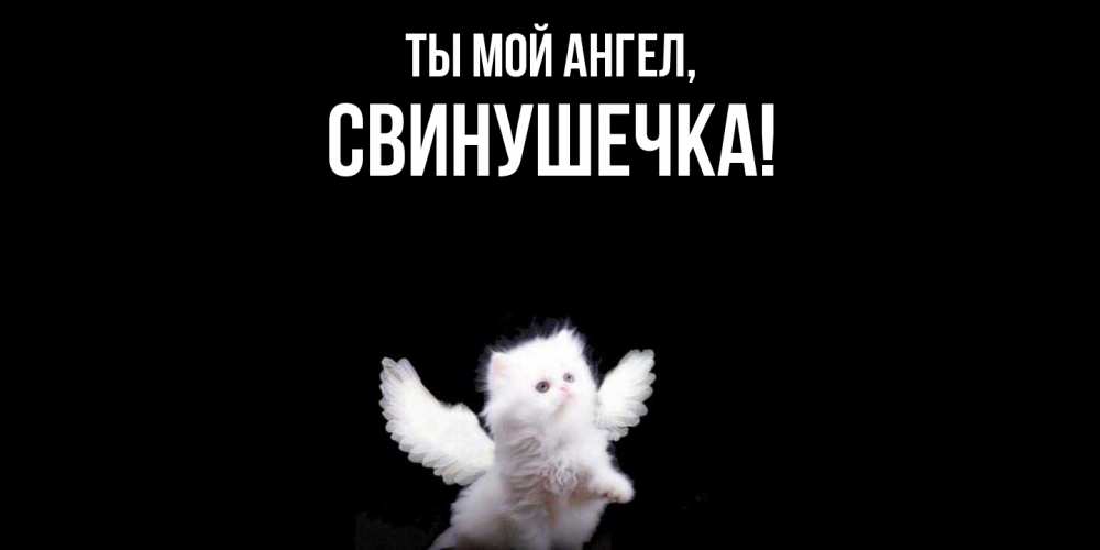 Открытка  для любимых и родных. свинушечка, Ты мой ангел  