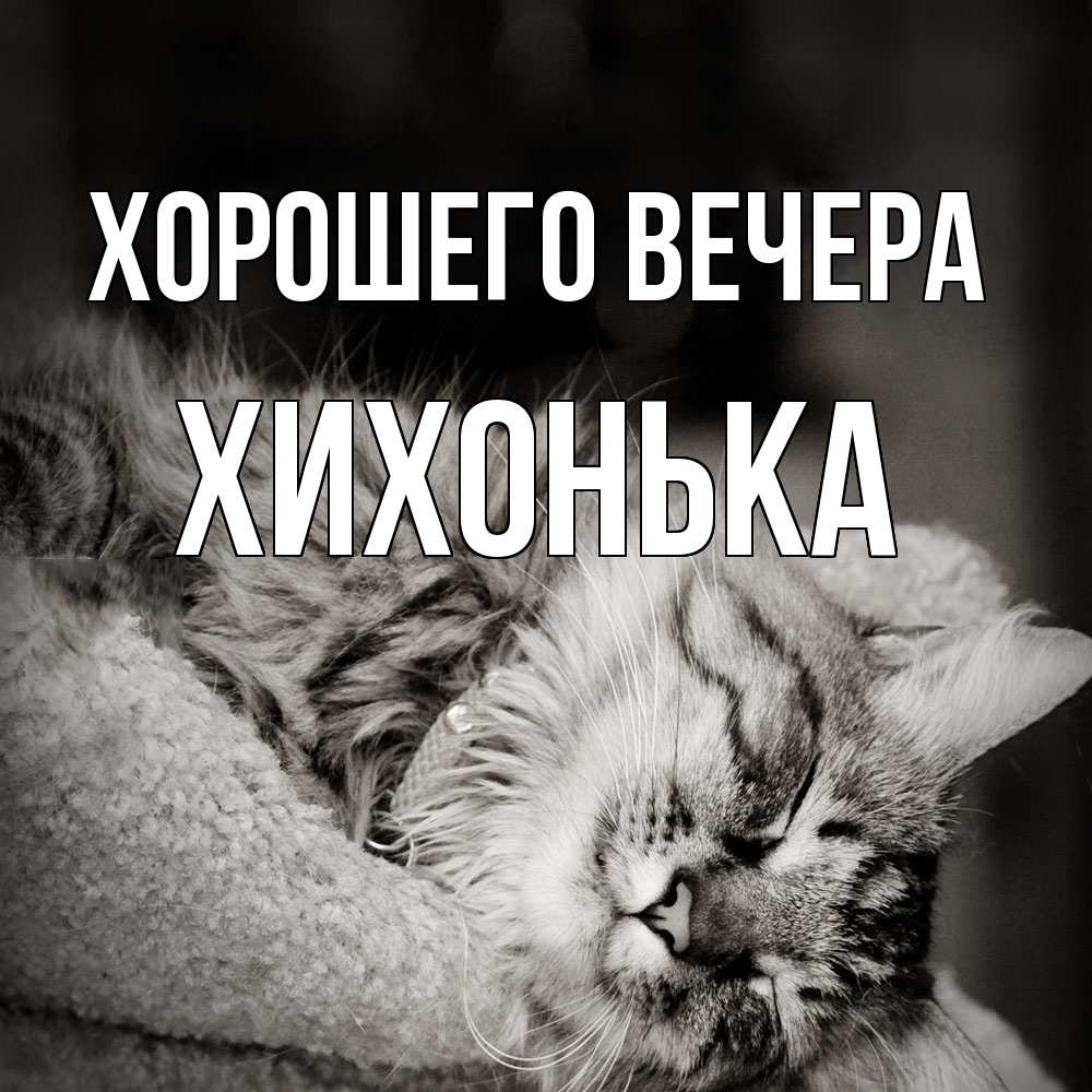 Открытка  для любимых и родных. хихонька, Хорошего вечера  