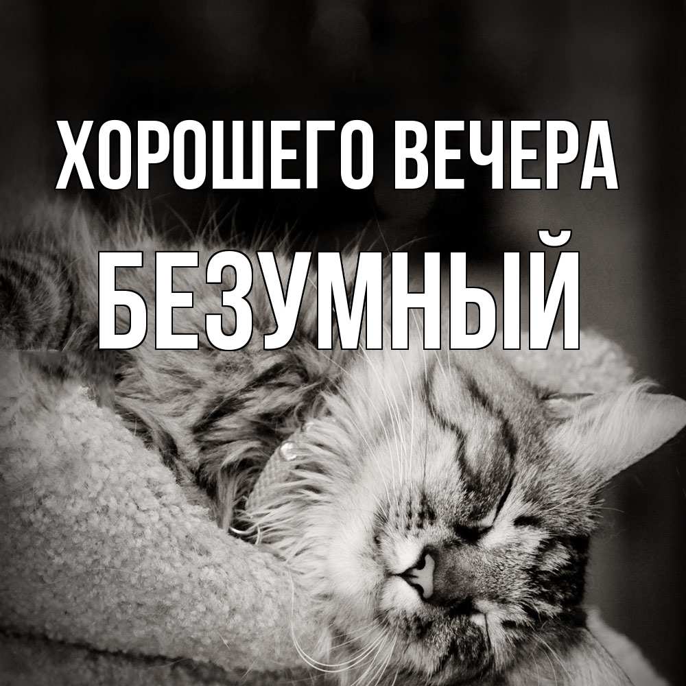 Открытка  для любимых и родных. безумный, Хорошего вечера  