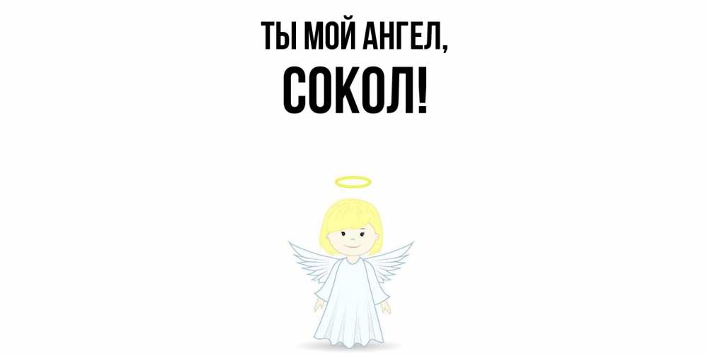 Открытка  для любимых и родных. сокол, Ты мой ангел  