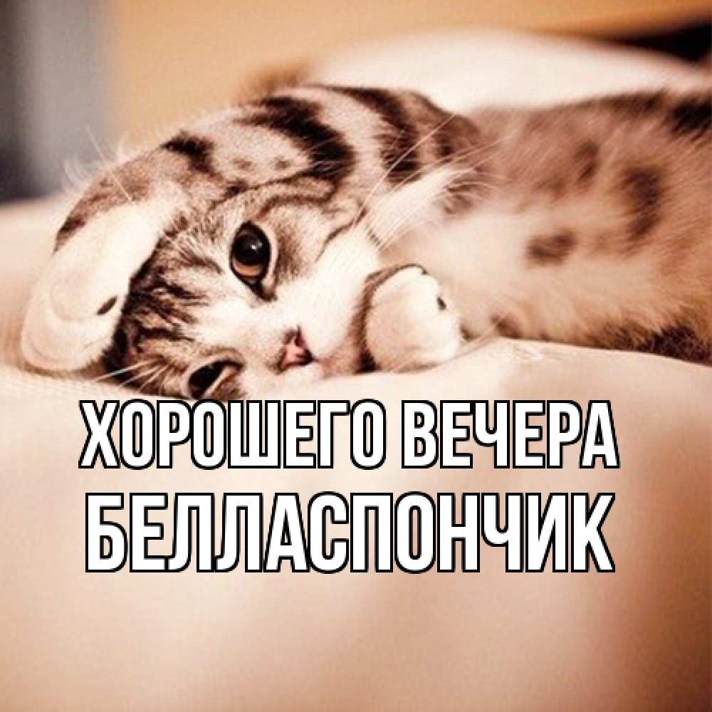 Открытка с именем, белласпончик, Хорошего вечера