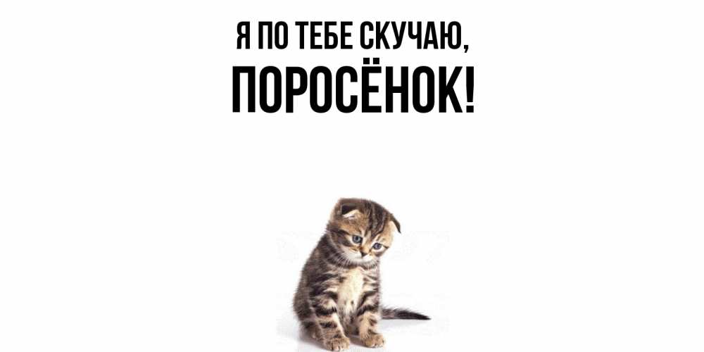 Открытка с именем, поросёнок, Я по тебе скучаю