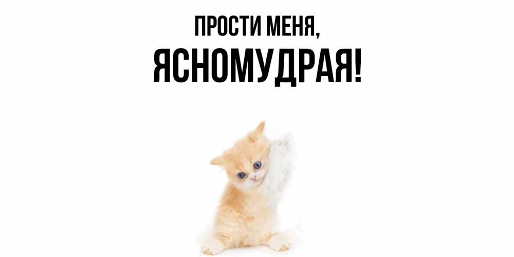 Открытка  для любимых и родных. ясномудрая, Прости меня  