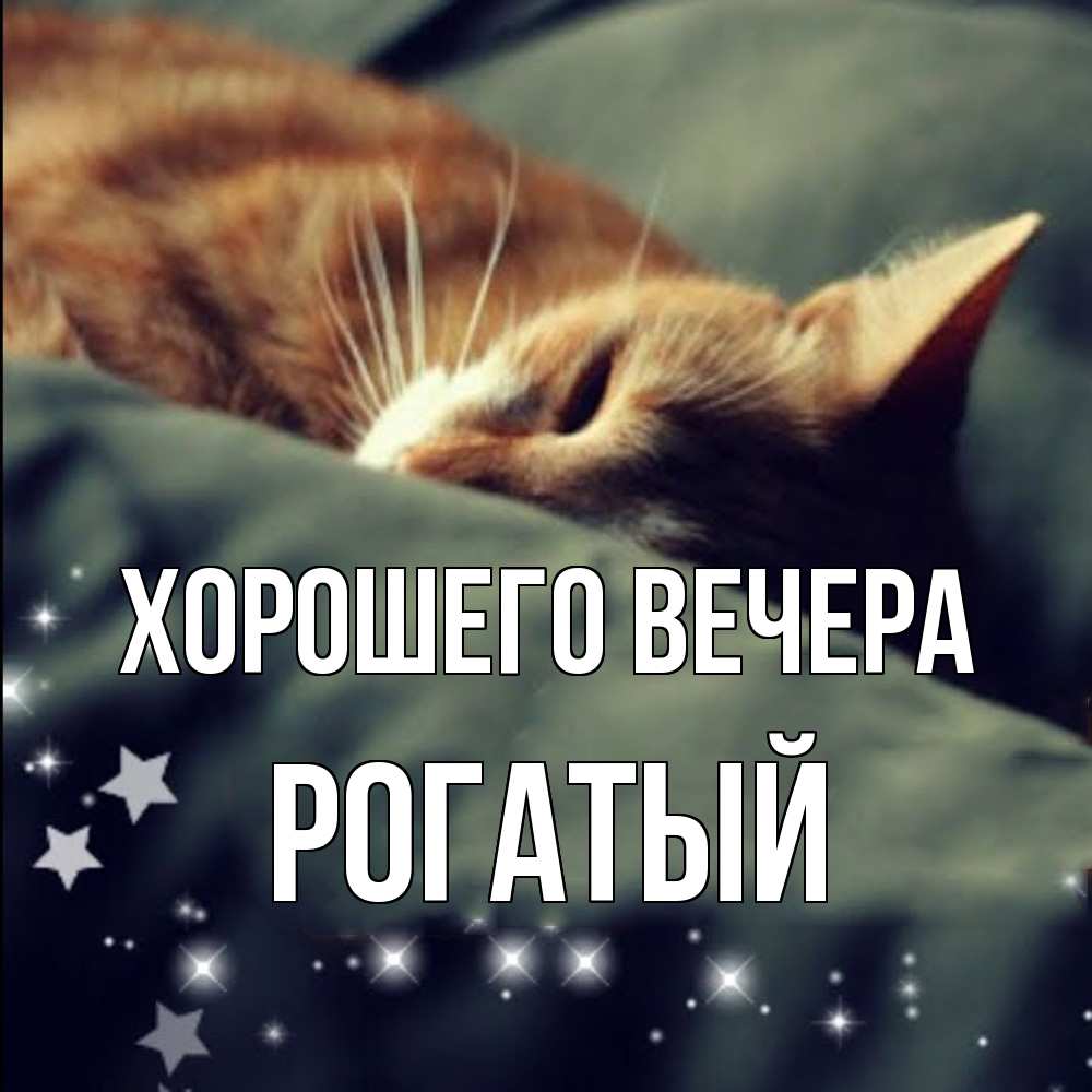 Картинка Хорошего вечера, рогатый