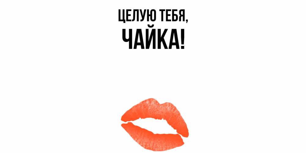 Открытка  для любимых и родных. чайка, Целую тебя  