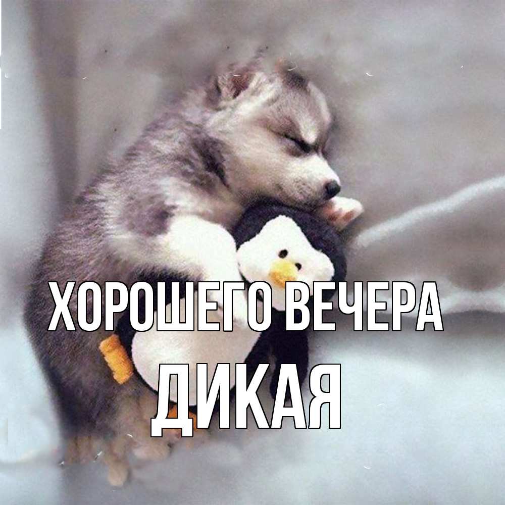 Картинка Хорошего вечера, дикая