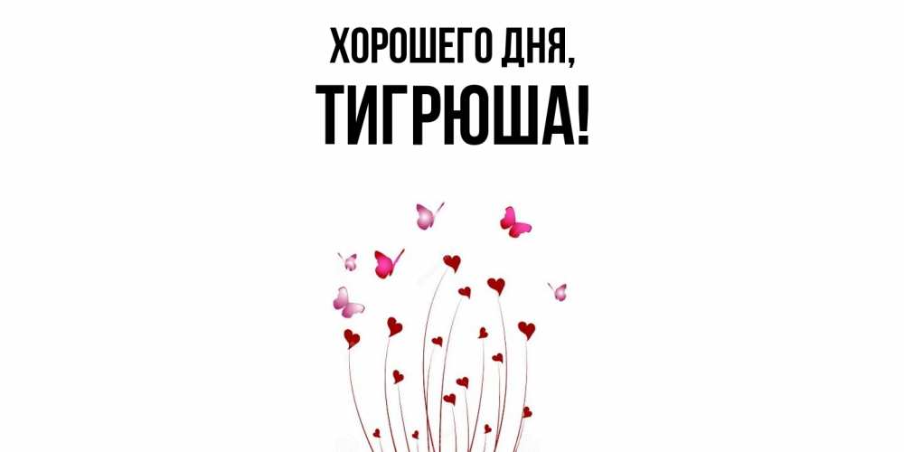 Открытка  для любимых и родных. тигрюша, Хорошего дня  