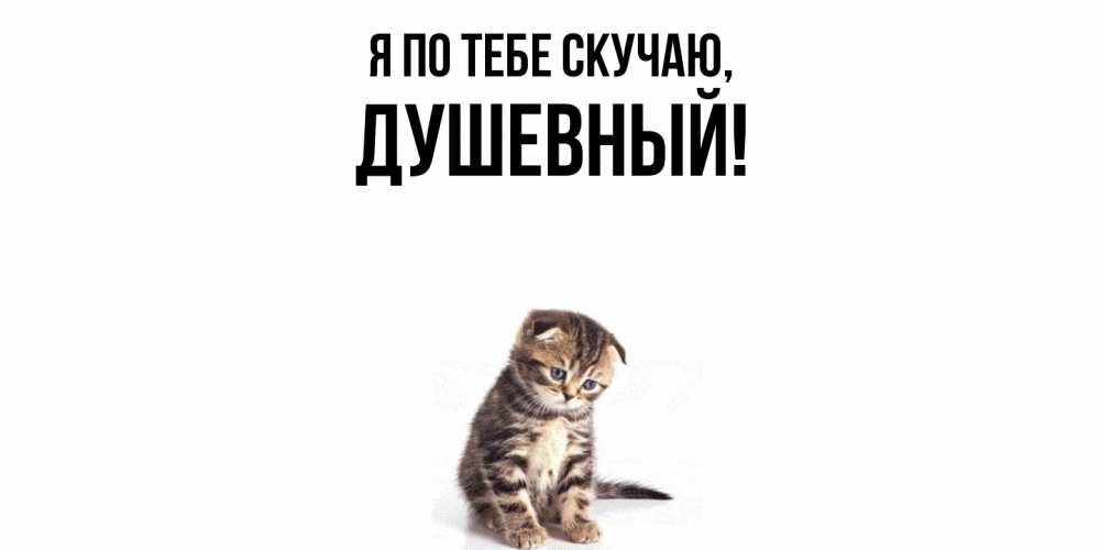 Открытка  для любимых и родных. душевный, Я по тебе скучаю  