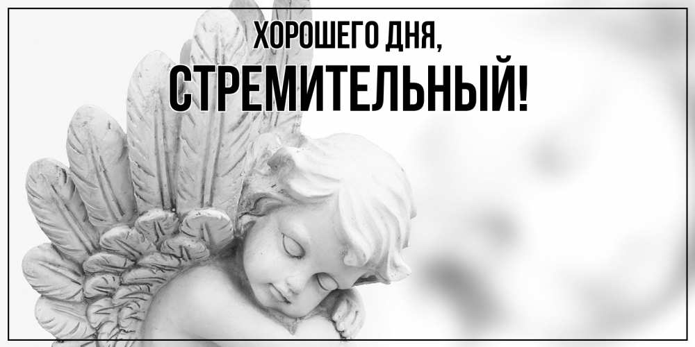 Открытка  для любимых и родных. стремительный, Хорошего дня  