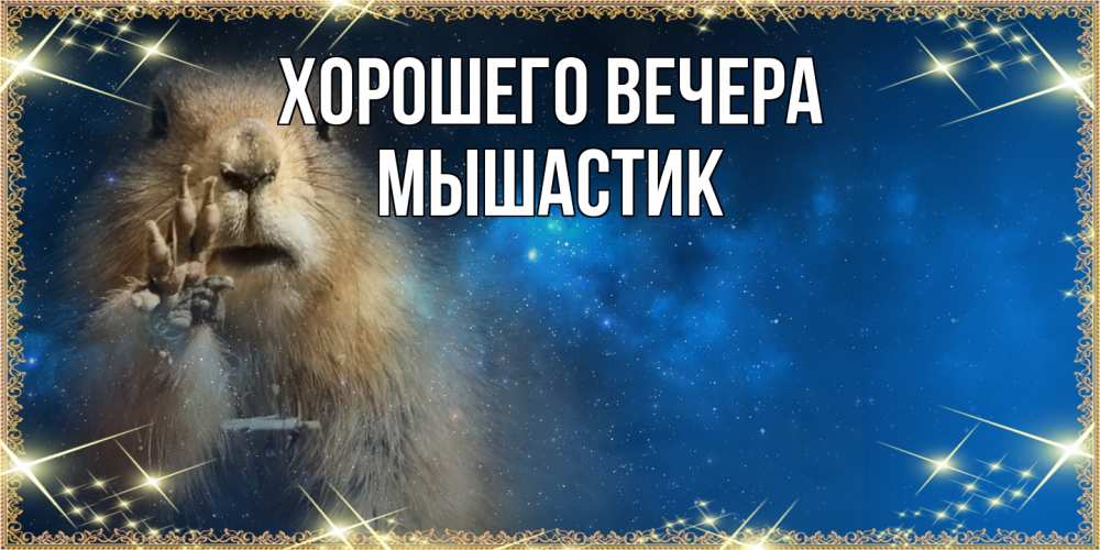 Картинка Хорошего вечера, мышастик
