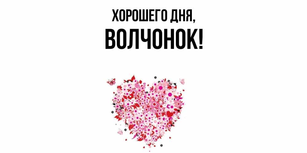 Открытка  для любимых и родных. волчонок, Хорошего дня  
