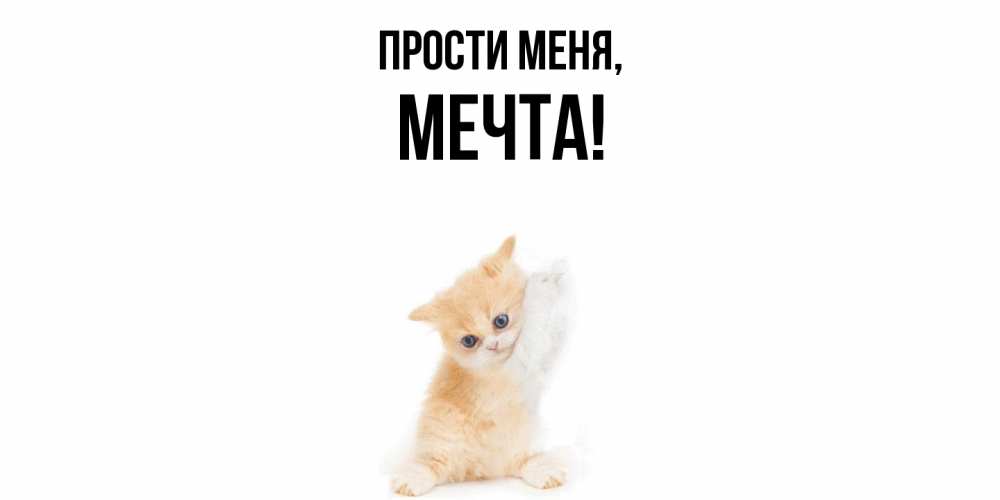 Открытка  для любимых и родных. мечта, Прости меня  