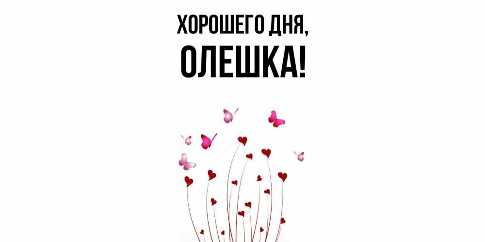 Открытка  для любимых и родных. олешка, Хорошего дня  