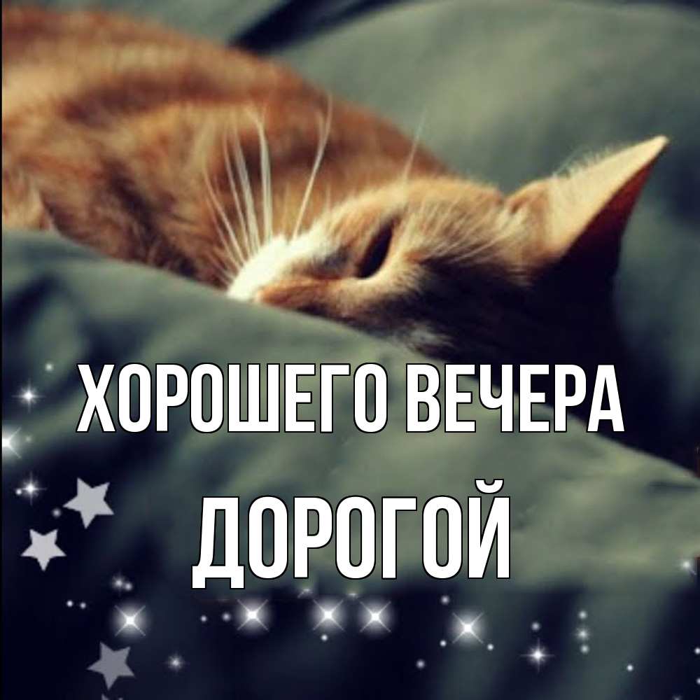 Открытка с именем, Дорогой, Хорошего вечера