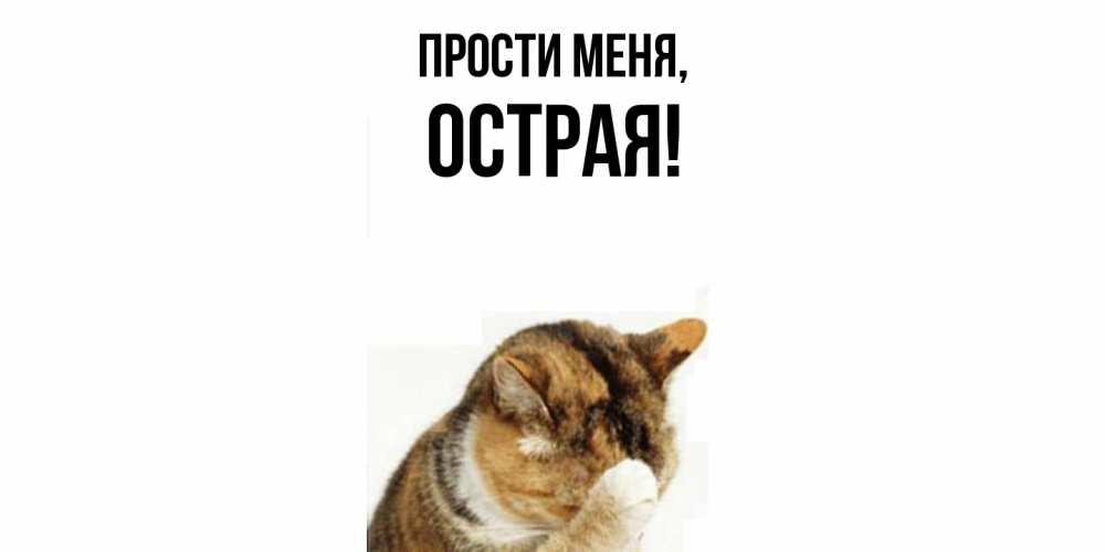 Открытка  для любимых и родных. острая, Прости меня  