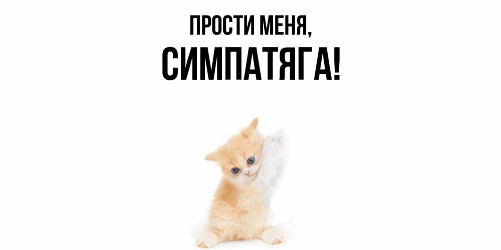 Открытка  для любимых и родных. симпатяга, Прости меня  