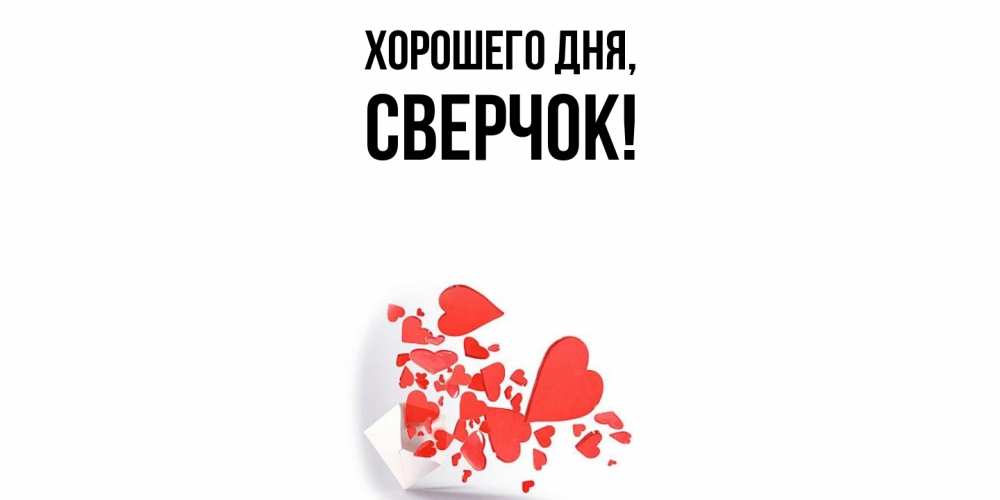 Открытка  для любимых и родных. сверчок, Хорошего дня  