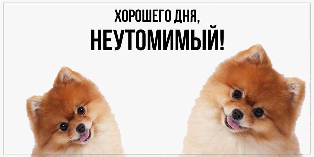 Картинка Хорошего дня, неутомимый