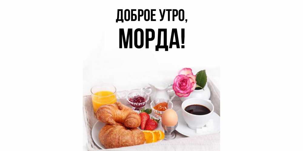 Открытка  для любимых и родных. морда, Доброе утро  
