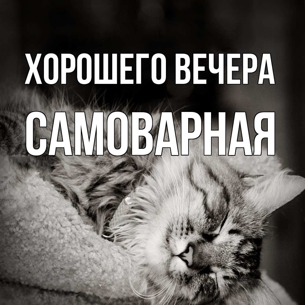 Открытка  для любимых и родных. самоварная, Хорошего вечера  