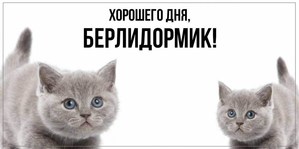 Открытка  для любимых и родных. берлидормик, Хорошего дня  