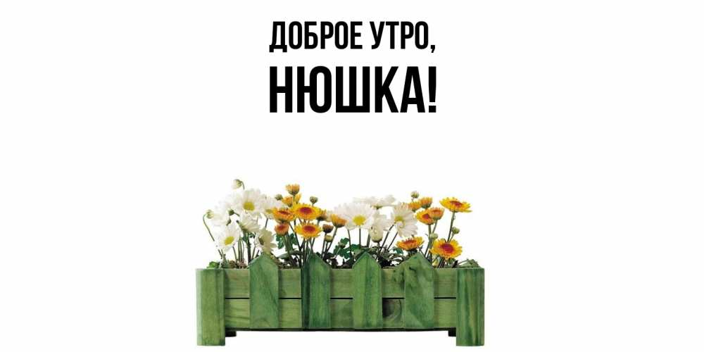 Открытка  для любимых и родных. нюшка, Доброе утро  