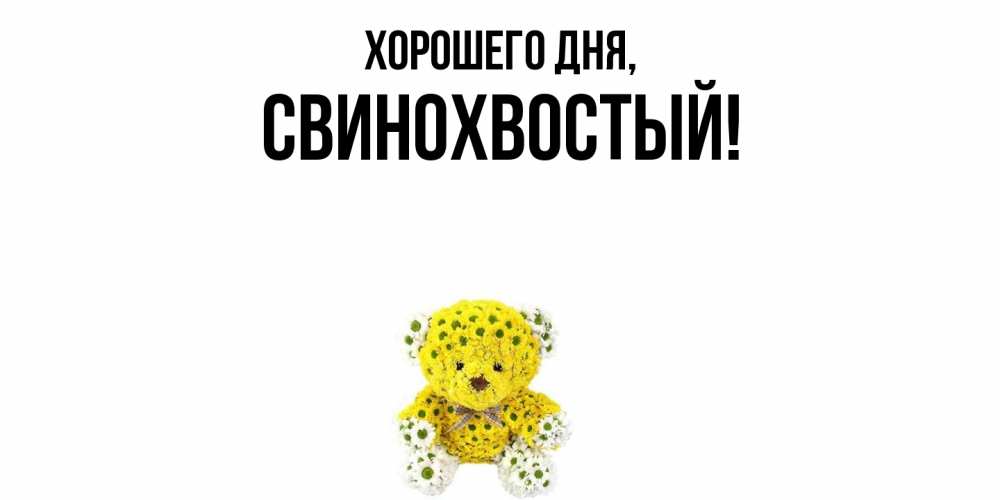 Открытка  для любимых и родных. свинохвостый, Хорошего дня  