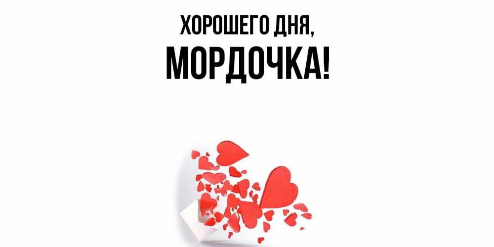 Открытка  для любимых и родных. мордочка, Хорошего дня  